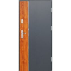 Steel Doors FI01a