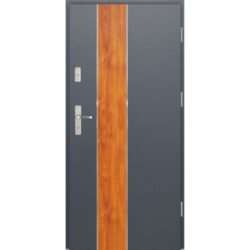 Steel Doors FI01b