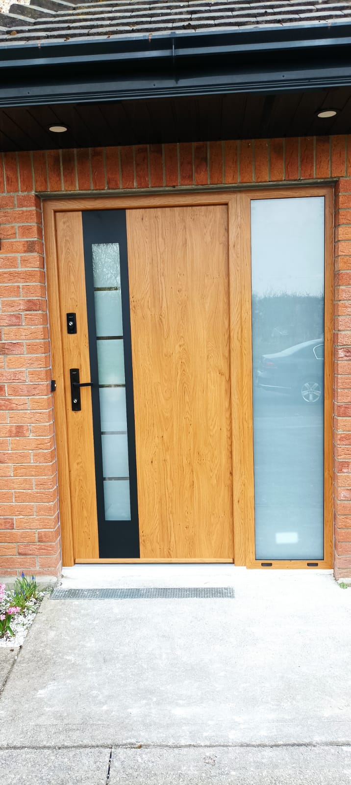 Steel door Optimum Termo 30A  | Co. Limerick | #82