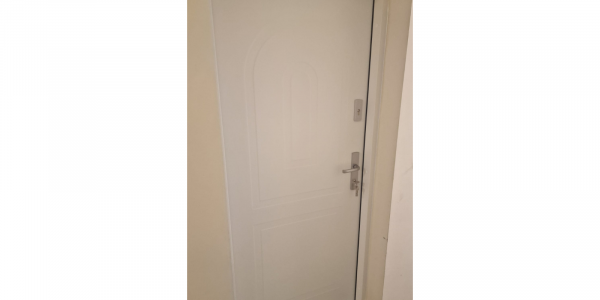 Apartment Entrance Door Wikęd Protect model 03 | Co. Dublin | #167