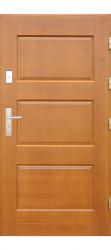Wooden doors DP-16