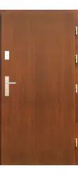 Wooden doors DP-17