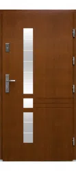 Wooden doors DP-43