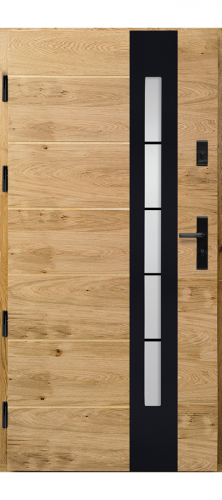 Wooden doors DPI-28