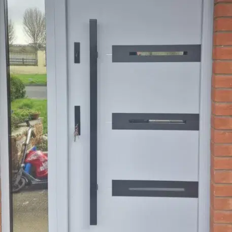 Steel door model 39a Product line: Optimum Termo | Limerick | #222