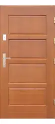 Wooden doors D-7