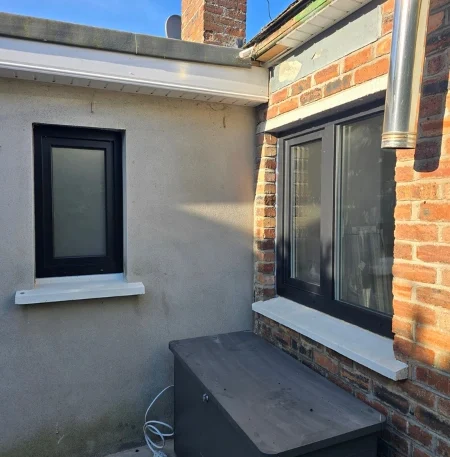 uPVC Windows Salamander BluEvolution 82